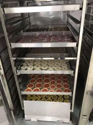 Candied fruit hot air dryer