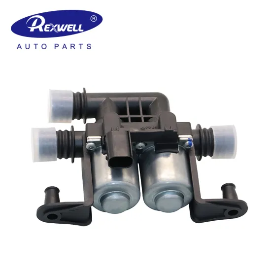 REXWELL Genuine OEM 64116910544 Heater Control Valve for BMW X5