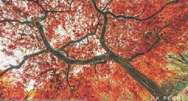 Glass Mosaic Art Red Maple Forest Beautiful Mural