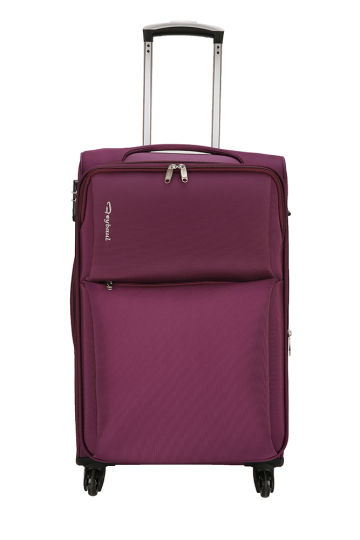 Lightweight Carry-on Spinner Luggage