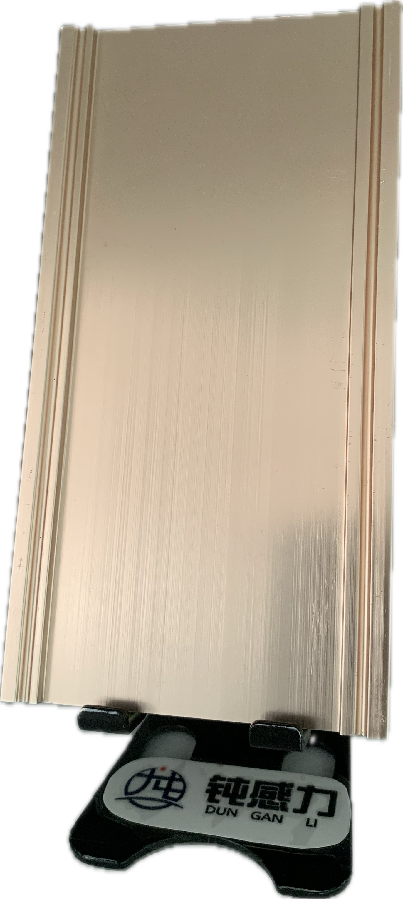 Mobile phone back panel