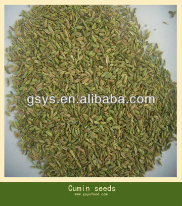 Cumin seeds