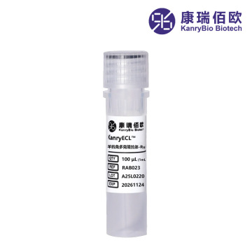 KanryECL™ Goat Anti‑Rabbit Polyclonal Antibody‑Ru