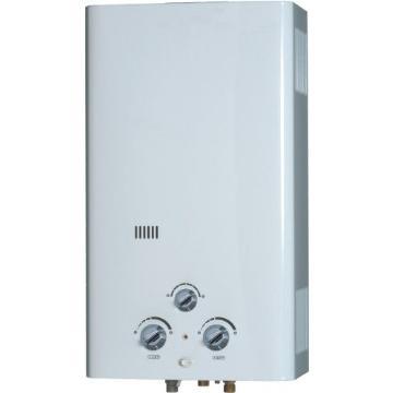 6L flue type instant tankless natural pipe gas water heater