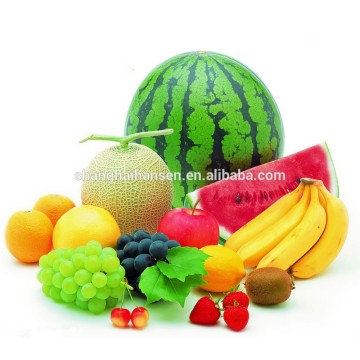 Import agent of fresh fruit