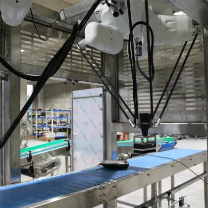 Affordable Top Quality Robotic Packaging Equipment: Delta and Parallel Robots on Sale