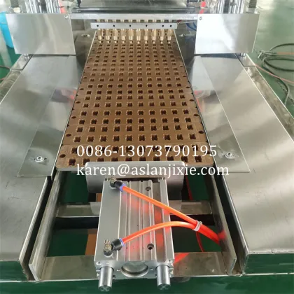Throat Lozenges Candy Filling and Forming Machine