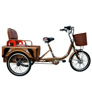 Adult Folding Three Wheeler Bikes & Tricycles