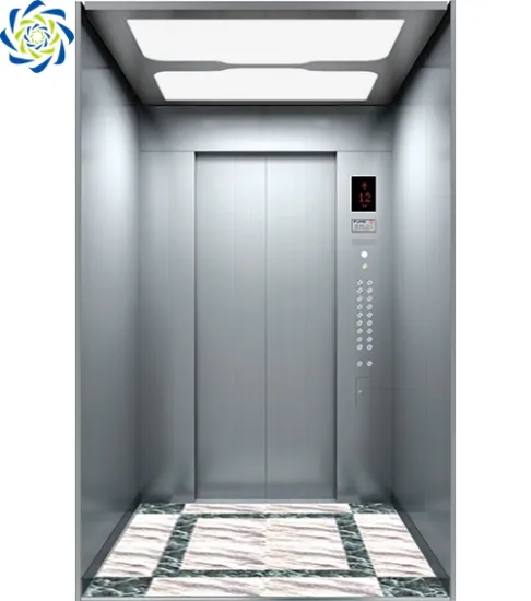 High Quality 630kg Passenger Lifts - Webstar Residential Elevators from China
