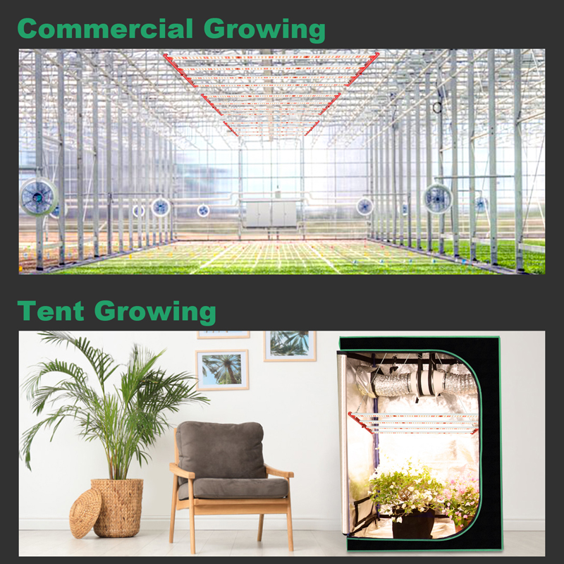 led grow light greenhouse led grow light greenhouse