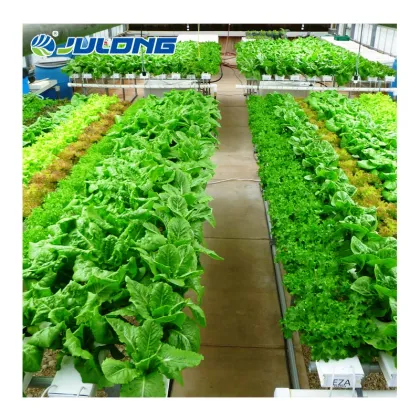 Agricultural NFT Hydroponics PVC Pipes