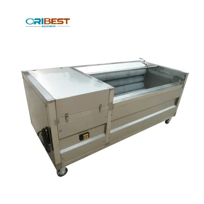 Automatic Cashew Processing Line: Peeling, Roasting, Steaming, and Boiling Machines