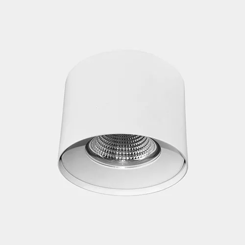 Surface & Suspension Light