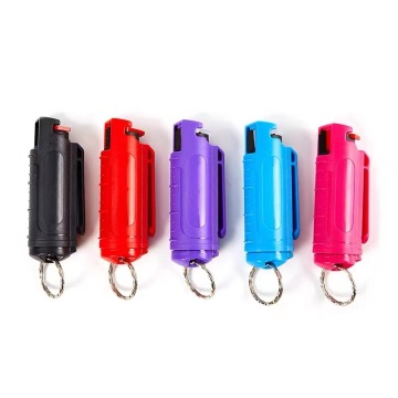 Wholesale Plastic Shell Spray Keychain Accessories for Women