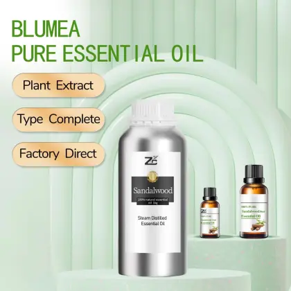 Sandalwood oil,pure nature  sandalwood oil,sandalwood oil bulk