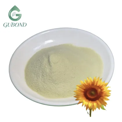 Sunflower Seed Protein for Commercial Food Manufacturing