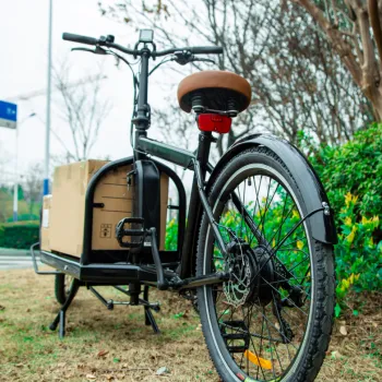 urban electric cargo bike two wheeler ecargo bikes