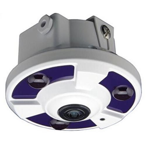 180Degree H.264/H.265 3.0MP IR Dome Fisheye IP Camera