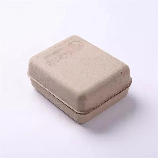 Biodegradable Recycled Paper Pulp Molded Clamshell Paper Box