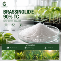 24-Epibrassinolide 90% TC Brassinosteroid منظم نمو النبات