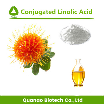 Microencapsulated Conjugated Linoleic Acid FFA-CLA Powder