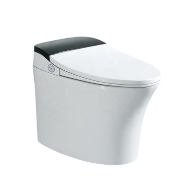 Smart Chinese Automatic Toilet Seat with Integrated Wash Basin