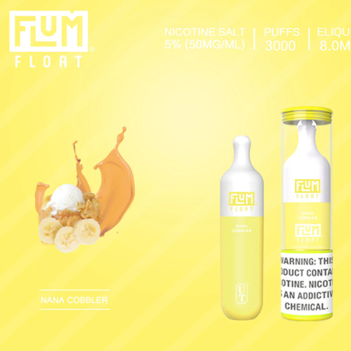 New Disposable Flum Float 3000Puffs Vape fast shipping