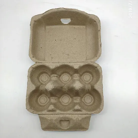 Eco-Friendly 6-Hole Paper Egg Tray