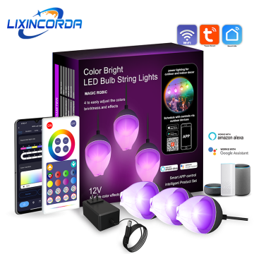RGB Outdoor String Lights IP65 Waterproof 20 LED Bulbs with 8 Scene Modes