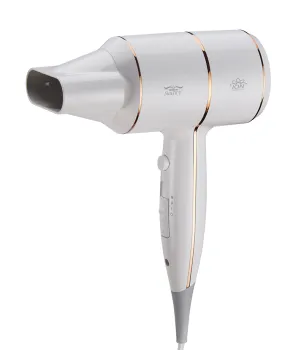 High Power Silent Hair Dryer