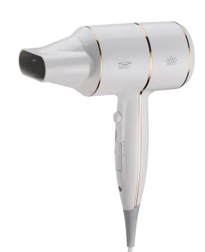 High Power Silent Hair Dryer