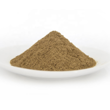 ginkgo biloba leaf extract ginkgo biloba Extract Powder