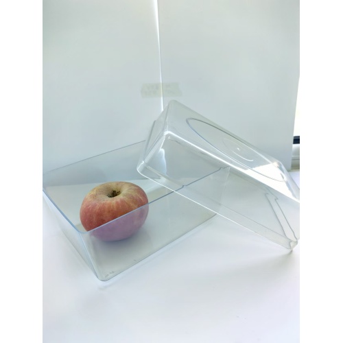 Durable Injection Molding Seed Germination Plastic Box