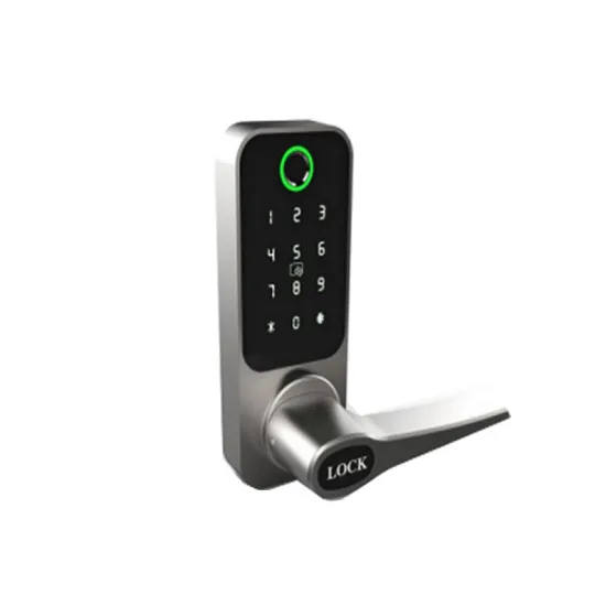 Smart Locks Door Locks fingerprint