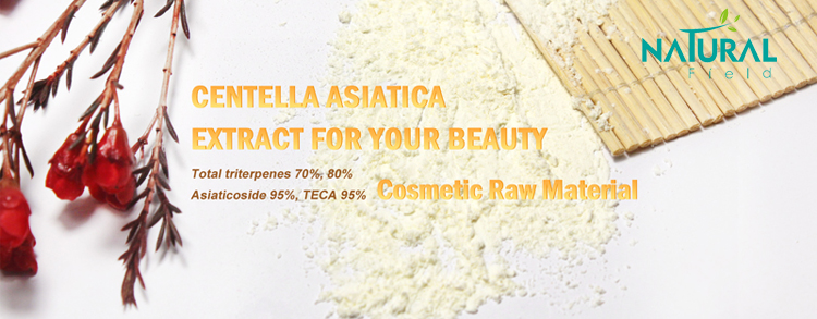 Centella Asiatica Extract Jpg