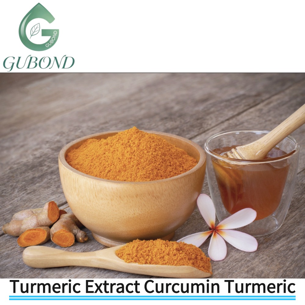 Turmeric Extract Curcumin