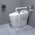 Handaille de main-d'œuvre de toilette conduite à la maison sans glissement