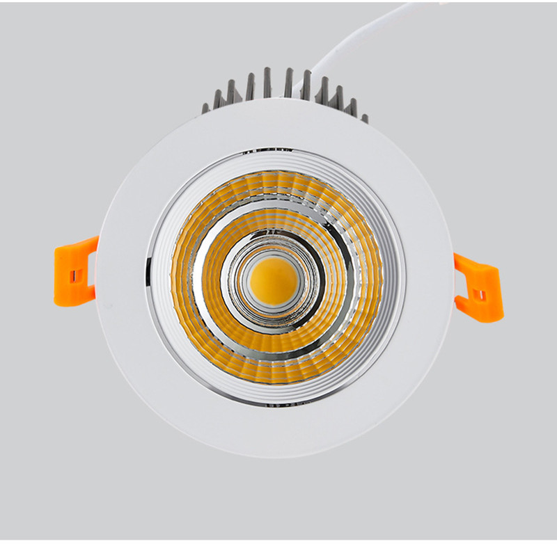 Cob Downlight 5