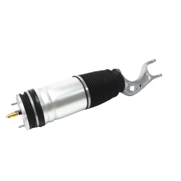 BAINEL Front Air Spring AWD OE 1067361-77-C for TESLA Model S 2016-2021