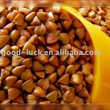 China Roasted Buckwheat
