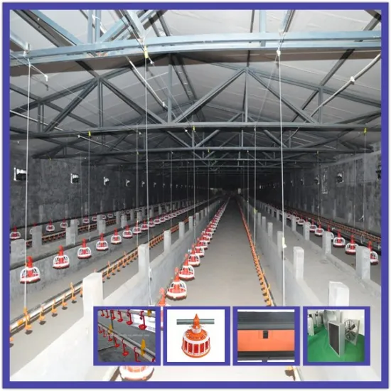 commercial cheap automatic poultry farm equipment for broilers
