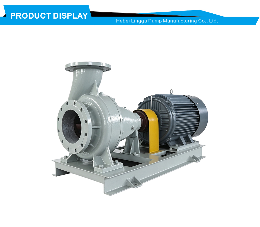 Stainless steel process pump