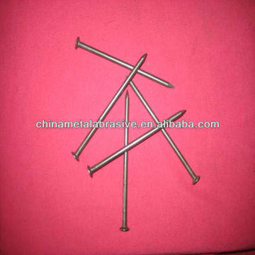 Low price Common nail(shijiazhuang city)