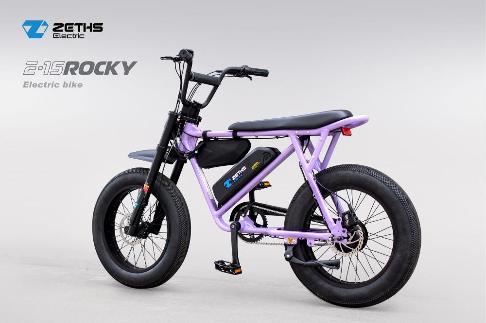 electric bicycle ebikes