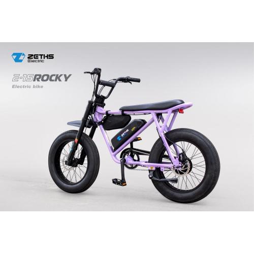 China Ebike powerful electric cycles Rocky Manufactory