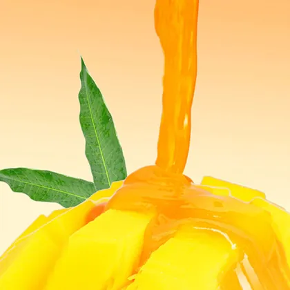 Hot Selling Summer Mango Syrup Drink Shop