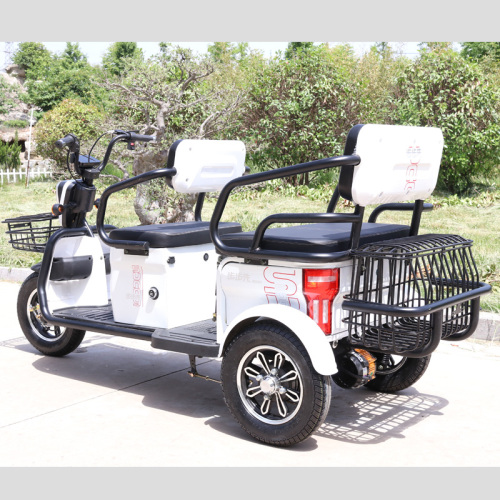 Tricycle/tricycle de loisirs électrique OEM de petite taille