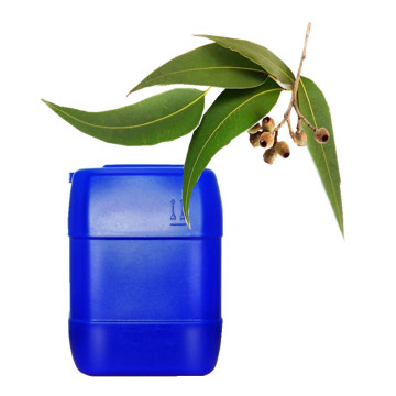 Bulk Organic Pharmaceutical Grade Eucalyptus Globulus Oil