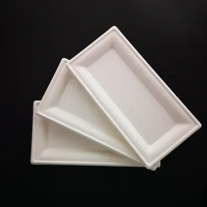 Eco-Friendly Disposable Tableware