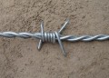 Small Roll Barbed Wire